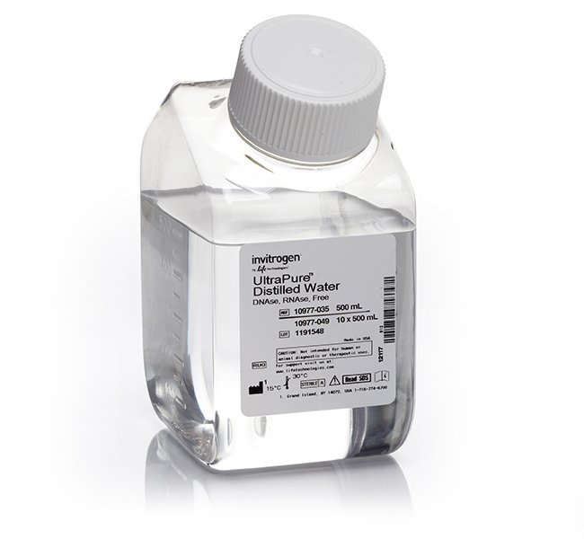 UltraPure™ DNase/RNase-Free Distilled Water